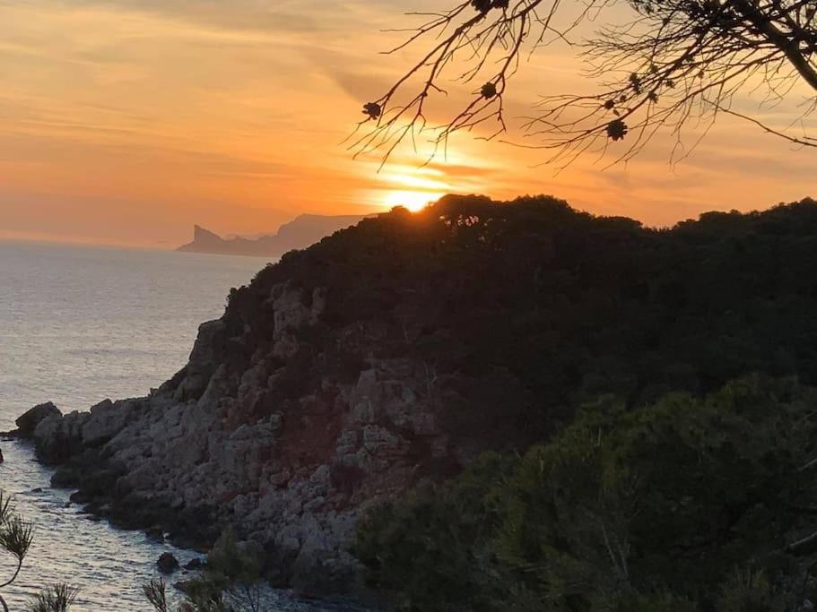 Athena Ohana, Les Pieds Dans L'Eau Bandol Eksteriør bilde